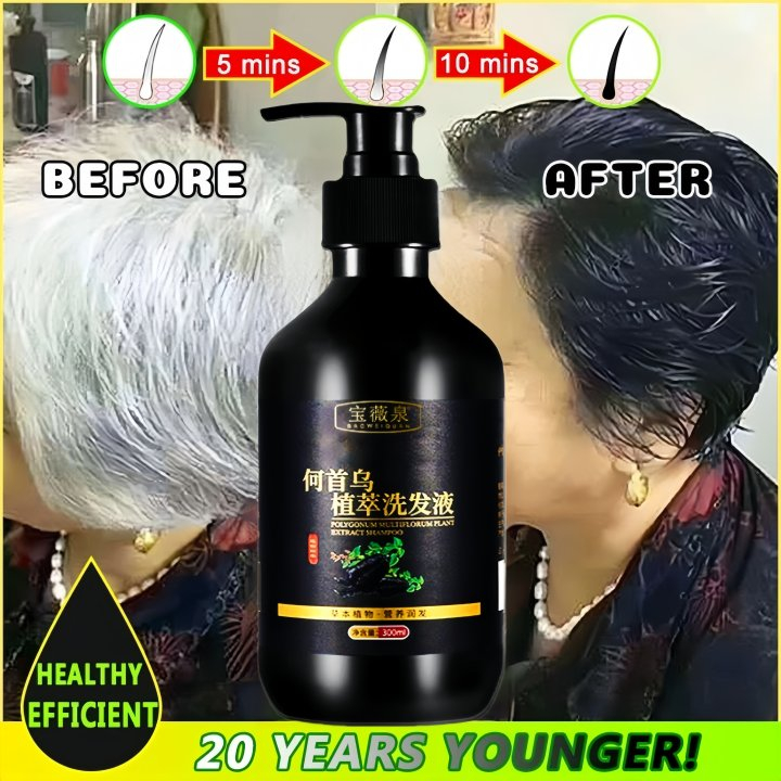 Sampo Penghilang Uban Shampoo Black Herbal Natural Polygonum Multiflorum Hair Blackening perawatan r