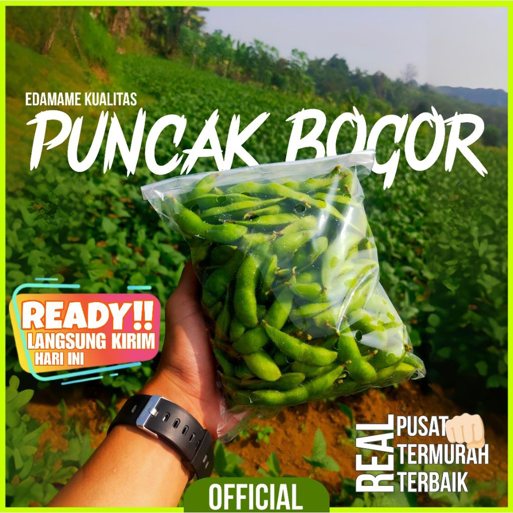 

Edamame 1kg segar || Edamame Bogor fresh premium quality langsung petani