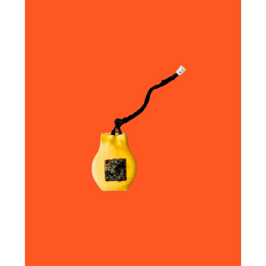 Baterai CMOS laptop Lenovo Thinkpad T420