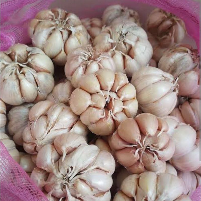 

Bawang putih 1 kg superr murahhh