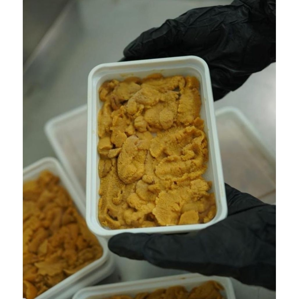

SeaUrchin Roe (uni) frozen import 100gr/pack