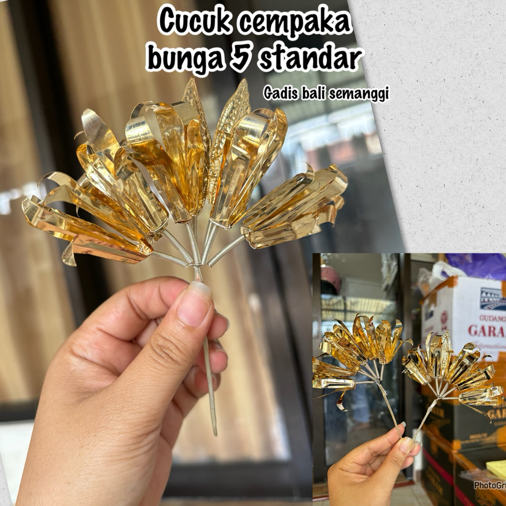 cucuk cempaka bunga 5 standar/ bunga sanggul/ semanggi emas