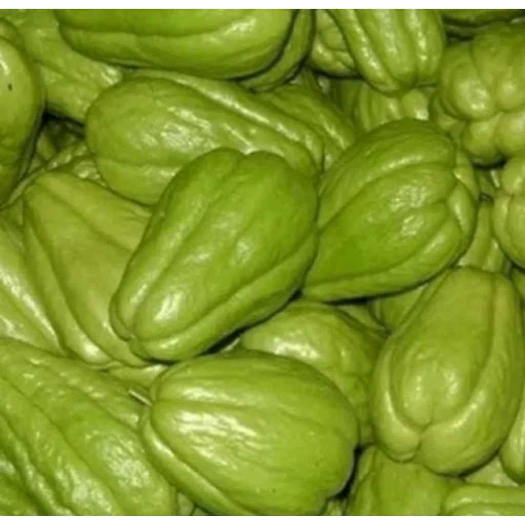 

SAYURAN LABU SIAM MUDA 1 KG