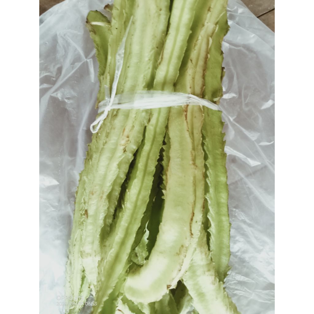 

sayuran kacang kecipir/cipir Jawa organik fresh 1iket 500gram murah aja