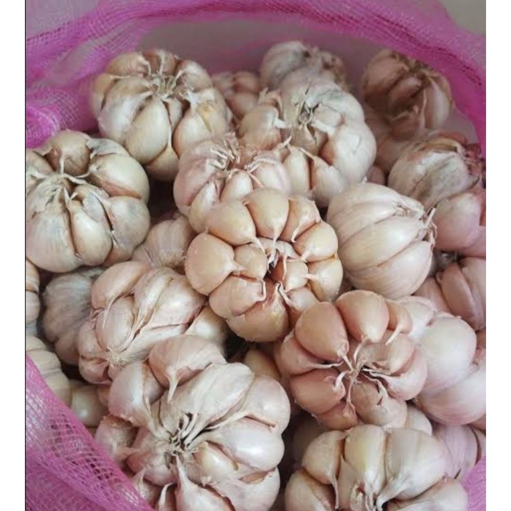 

BAWANG SINCO Premium 500 GRAM
