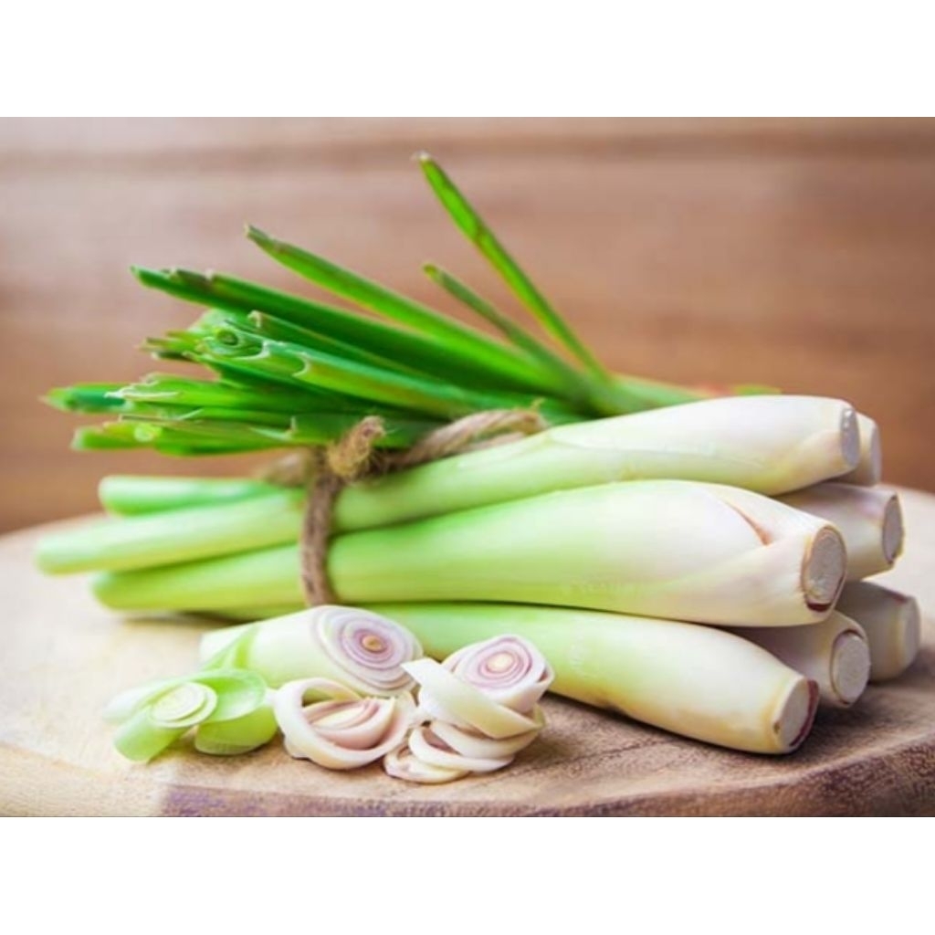 

bongol sereh serai herbal bumbu dapur 100g