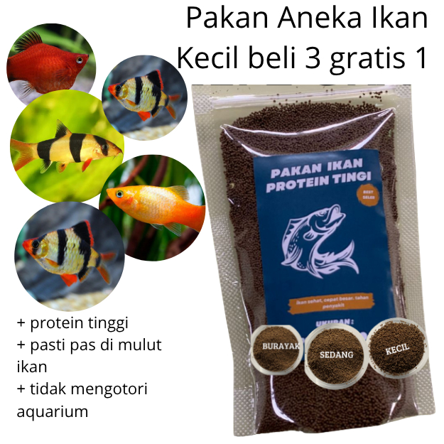Pelet Ikan Kecil Tinggi Protein, untuk  Ikan Cupang, Angelfish, Rainbowfish, Swordtail, dan Guppy Mo