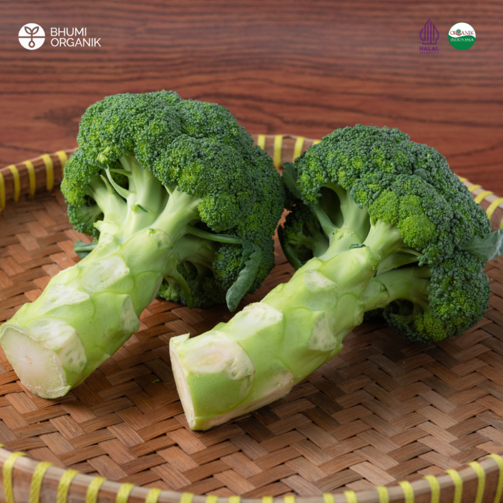 

Brokoli Organik 250 gram - Ceritanik / Bhumi Organik - Broccoli Organic - Sayur Organik Murah - Sayur Organik Sehat - Sayur Organik Premium