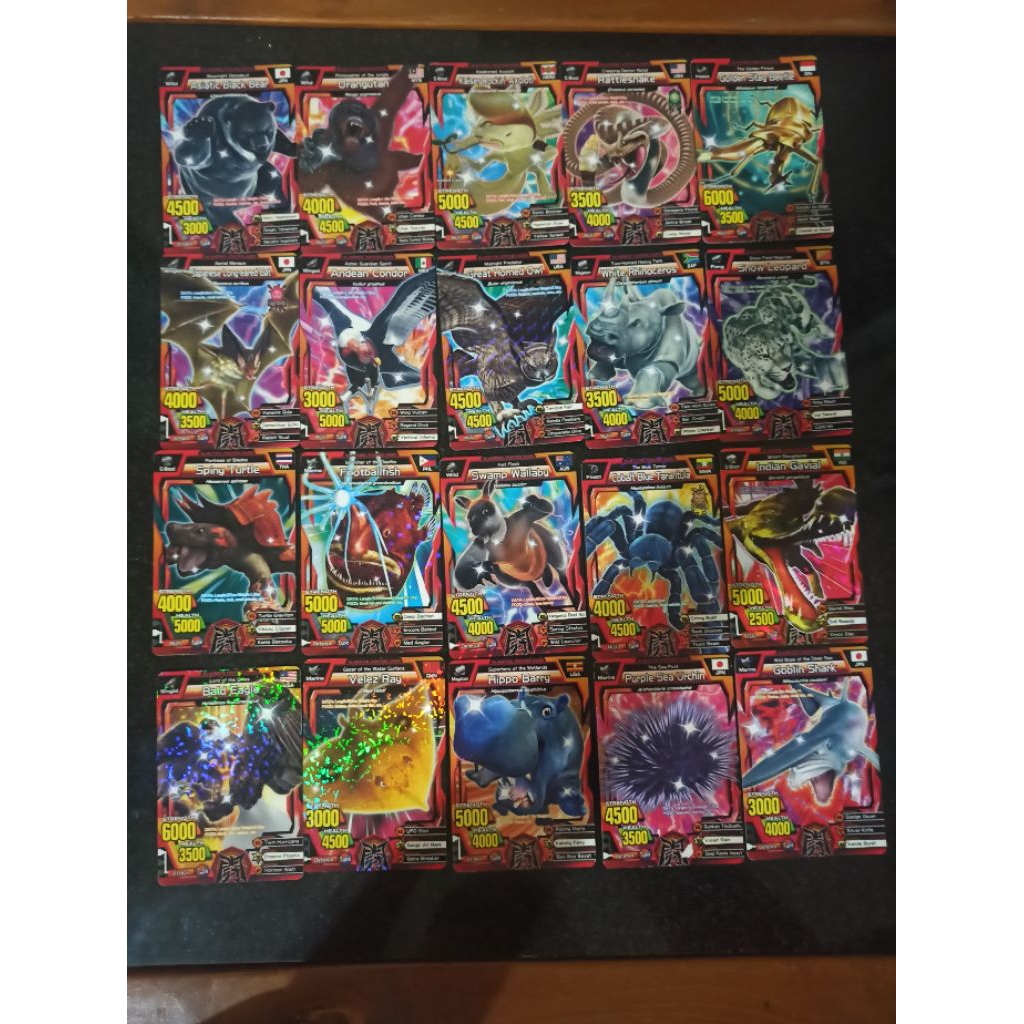 Kartu Animal Kaiser Original