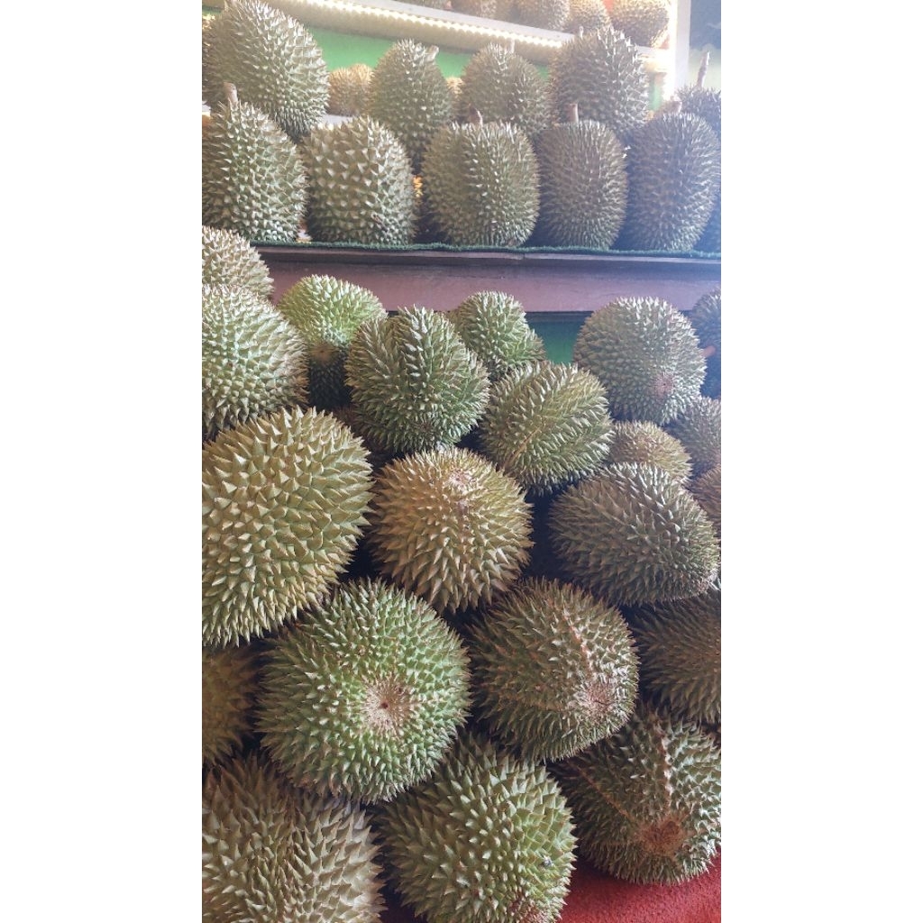 

Durian Monthong