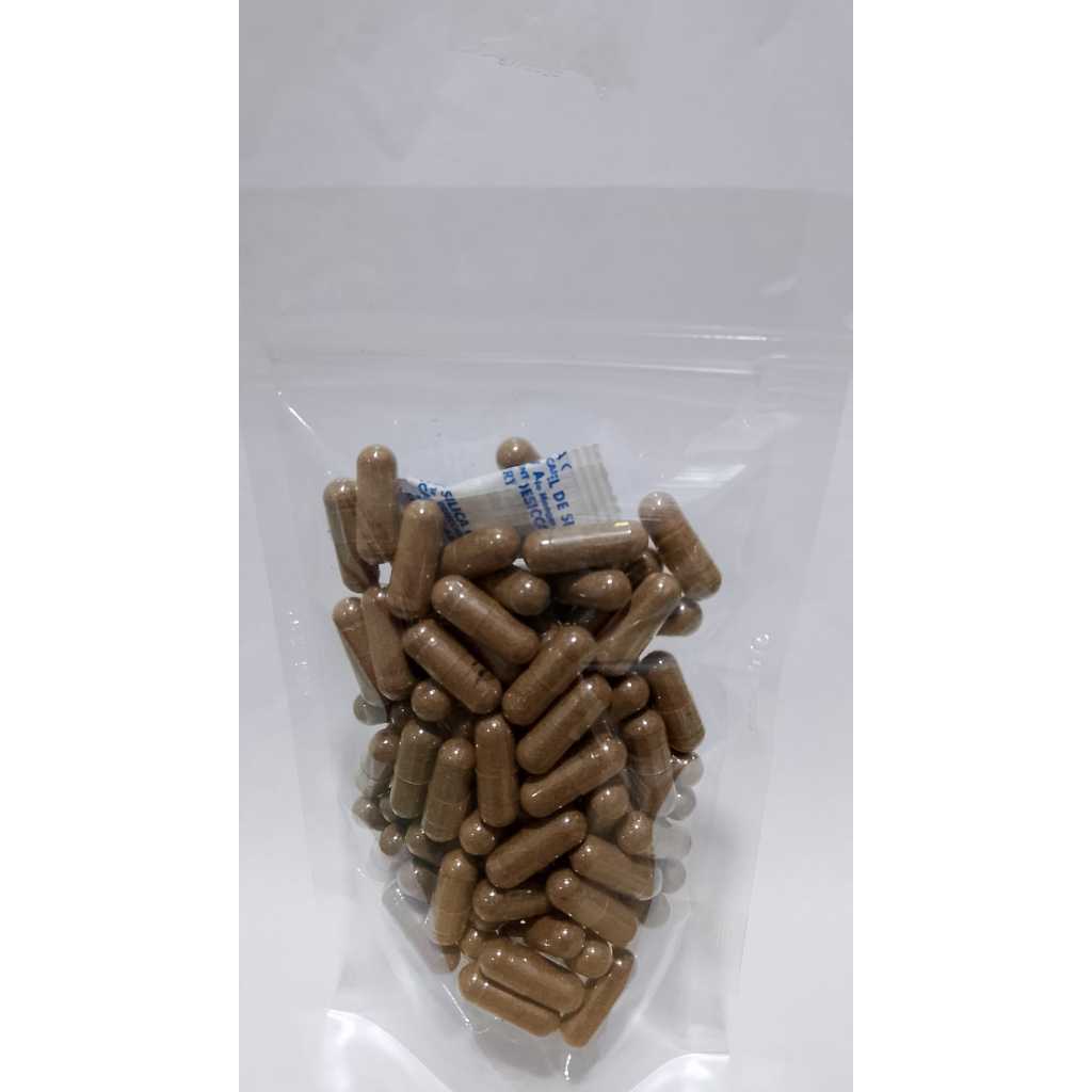 Kayu Lanang Kapsul Curah Herbal Isi 100 Kapsul 500 mg