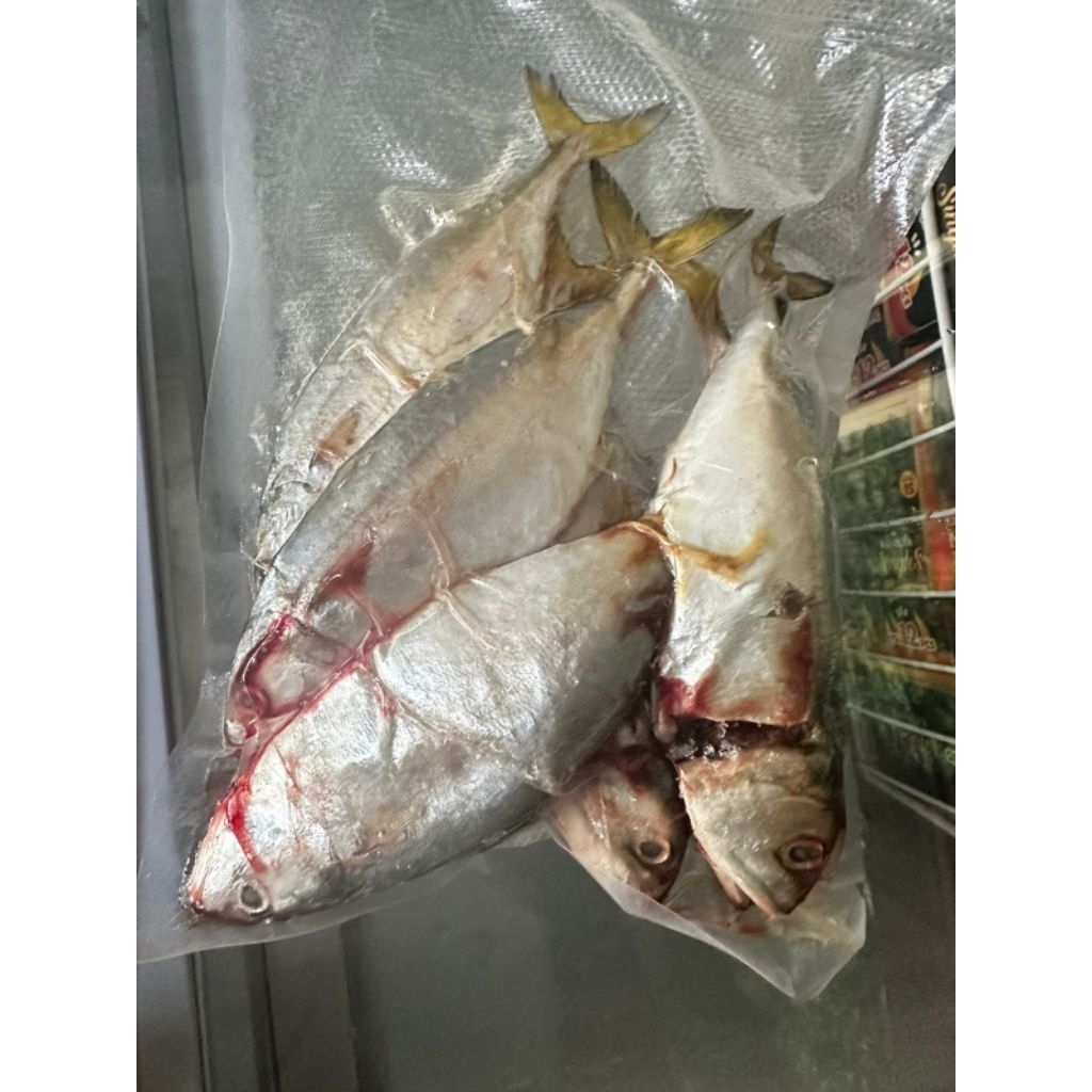 

Ikan Kembung Banjar 500gr
