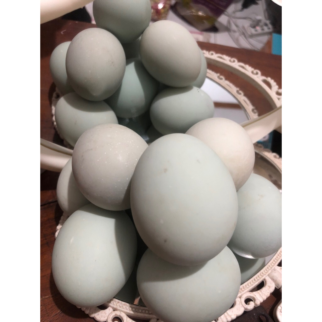 

Telor Asin Asli Brebes