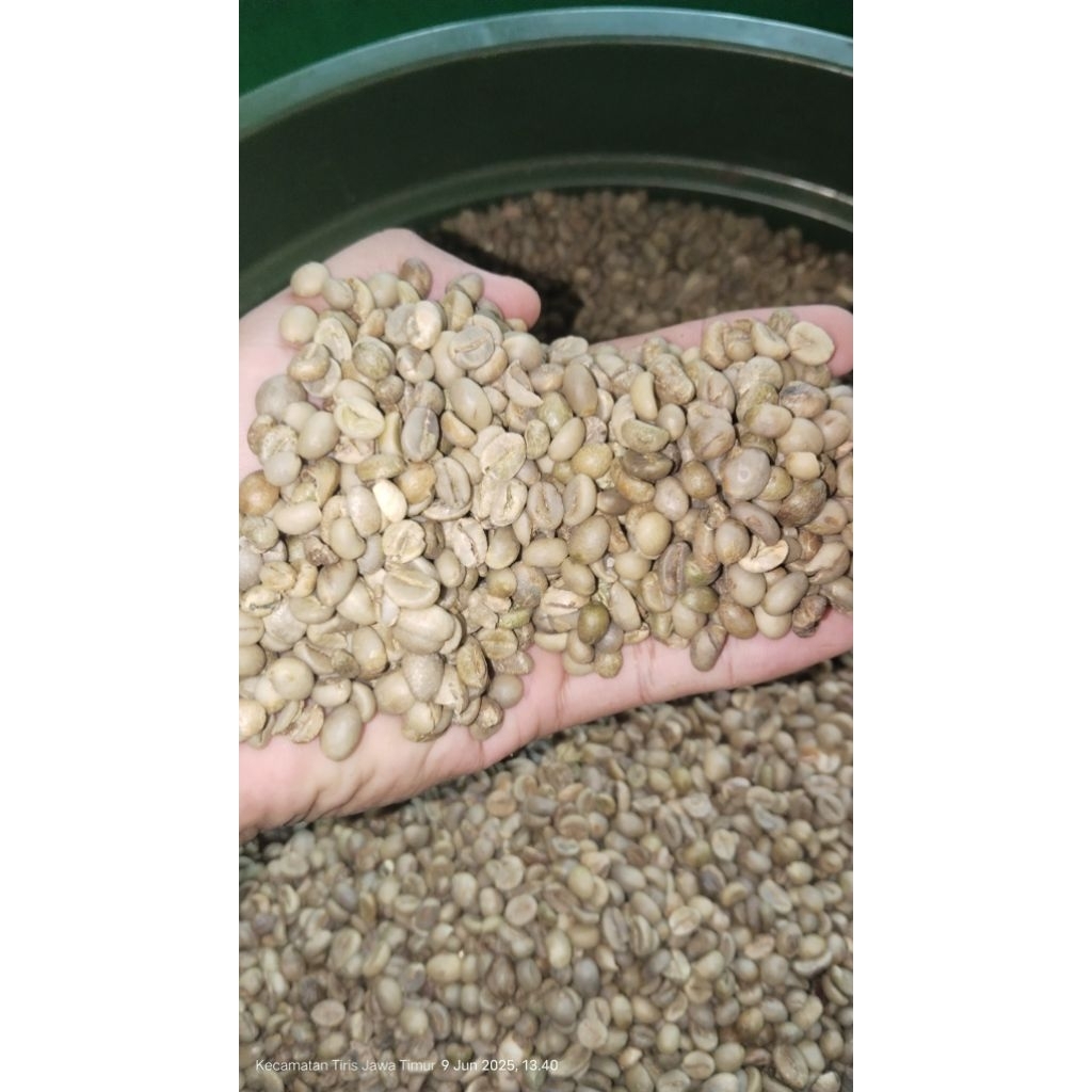 

Biji Kopi Robusta asalan 1 kg | Green Bean | Kualitas Super | Grosir