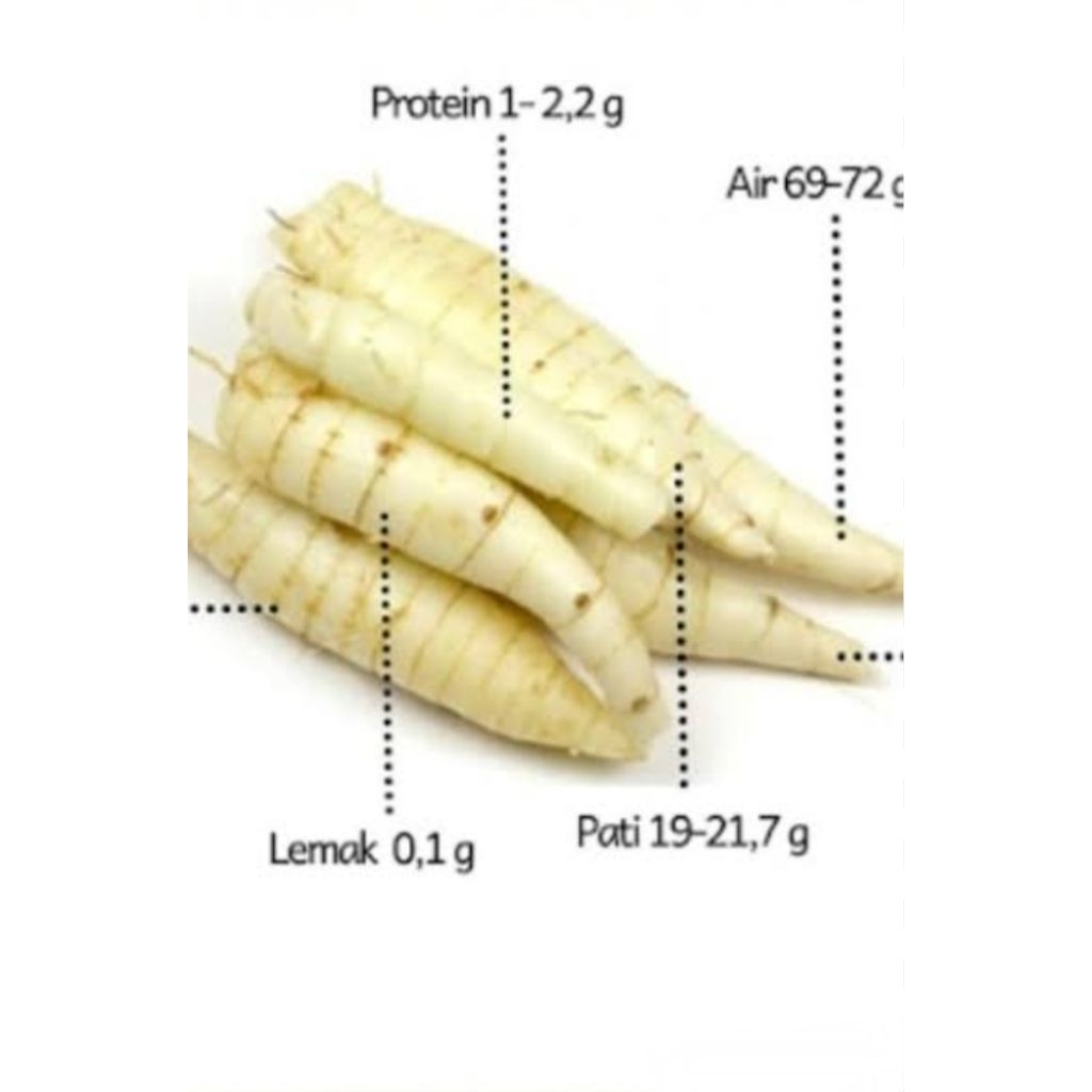 

umbi kerut,ubi kerut, makanan, food, umbi segar, herbal