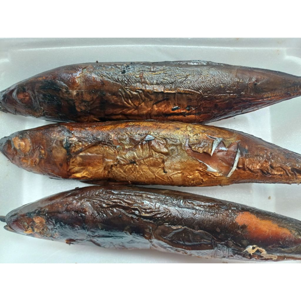 

Ikan asap panggang salem tongkol besar produk rumah tangga Isi 3 PCS