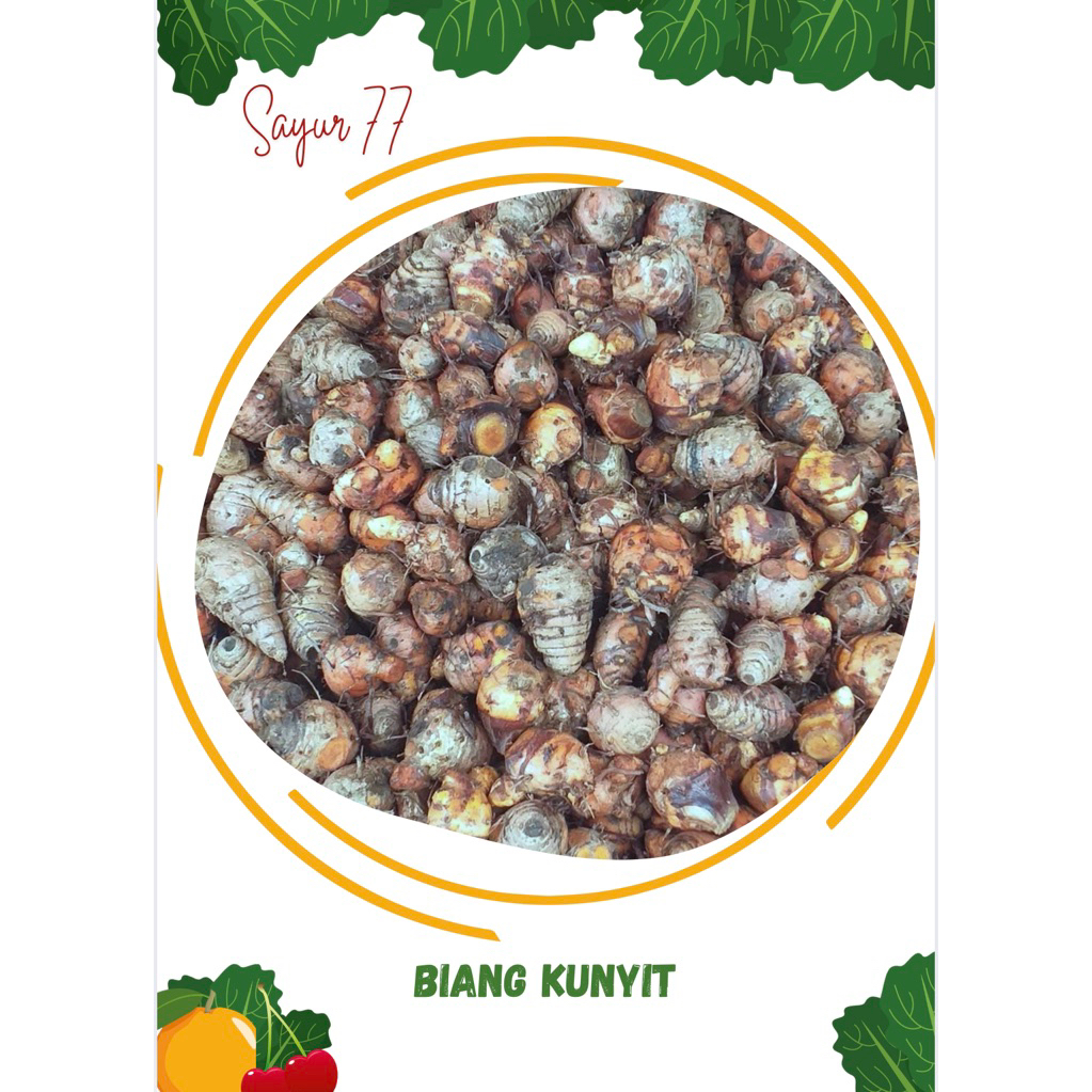 

BIANG KUNYIT