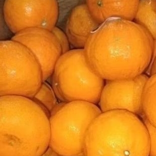 

Jeruk Novel/Jeruk Citrus 1kg