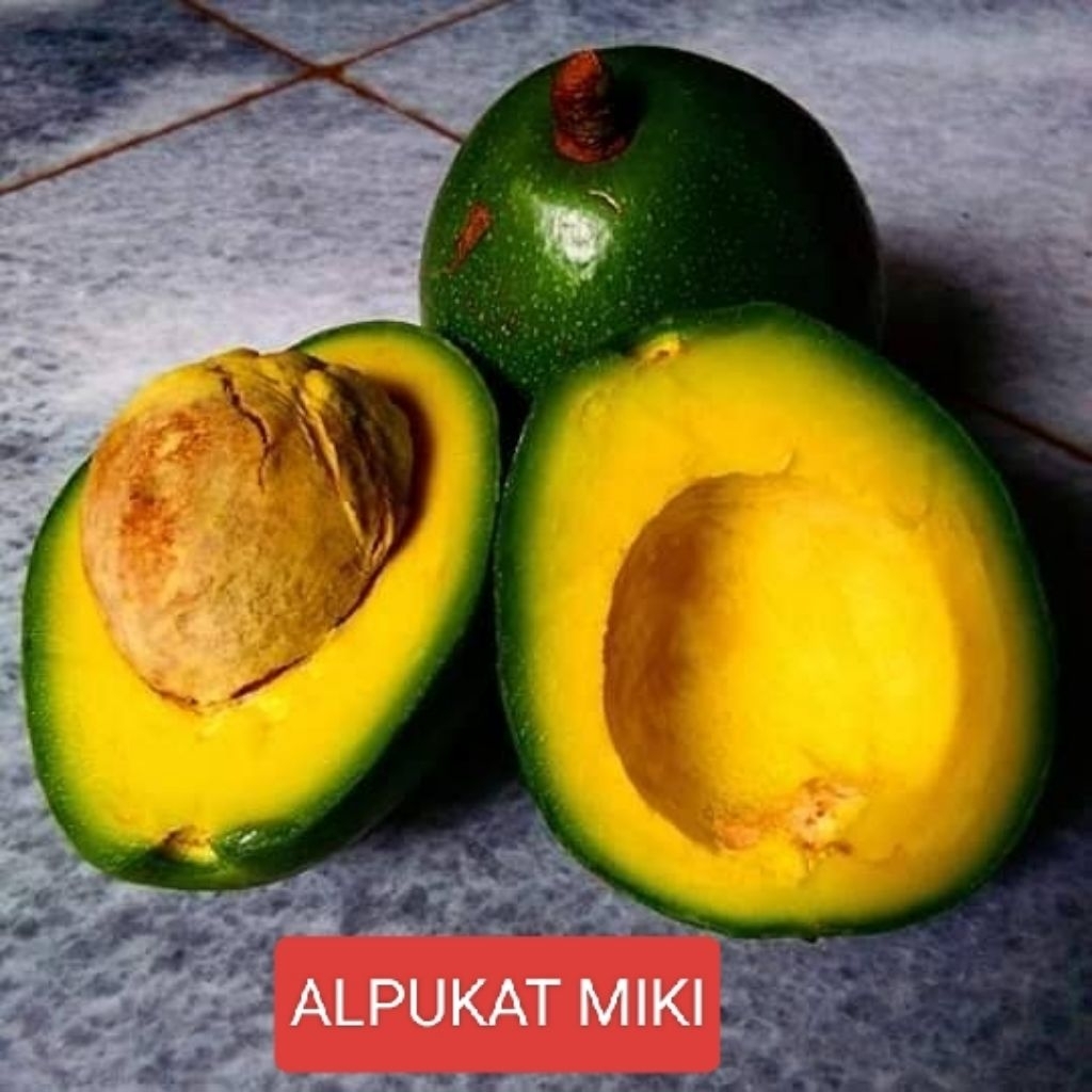 

ALPUKAT MIKI CIPEDAK DAN ALIGATOR DIJAMIN TUA DAN BERGARANSI 1KG