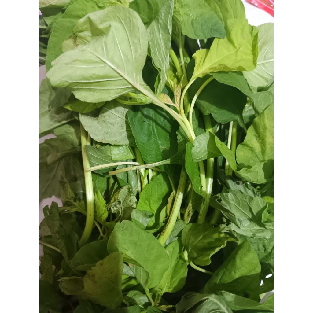 

Bayam Sayur 1ikat