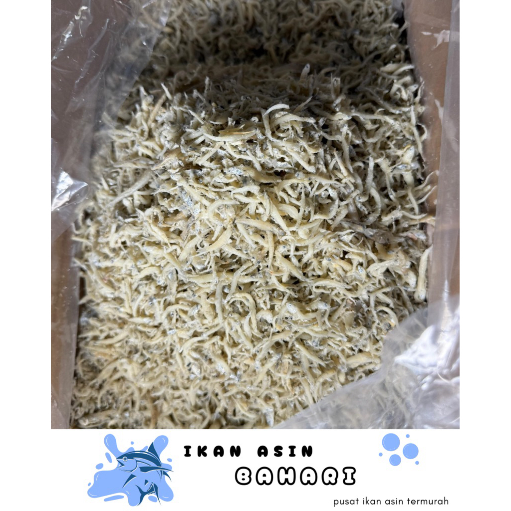 

500GRAM TERI NASIK KUALITAS PREMIUM DIJAMIN PALING MURAH - STOCK BARU-KIRIM SETENGAH KERING