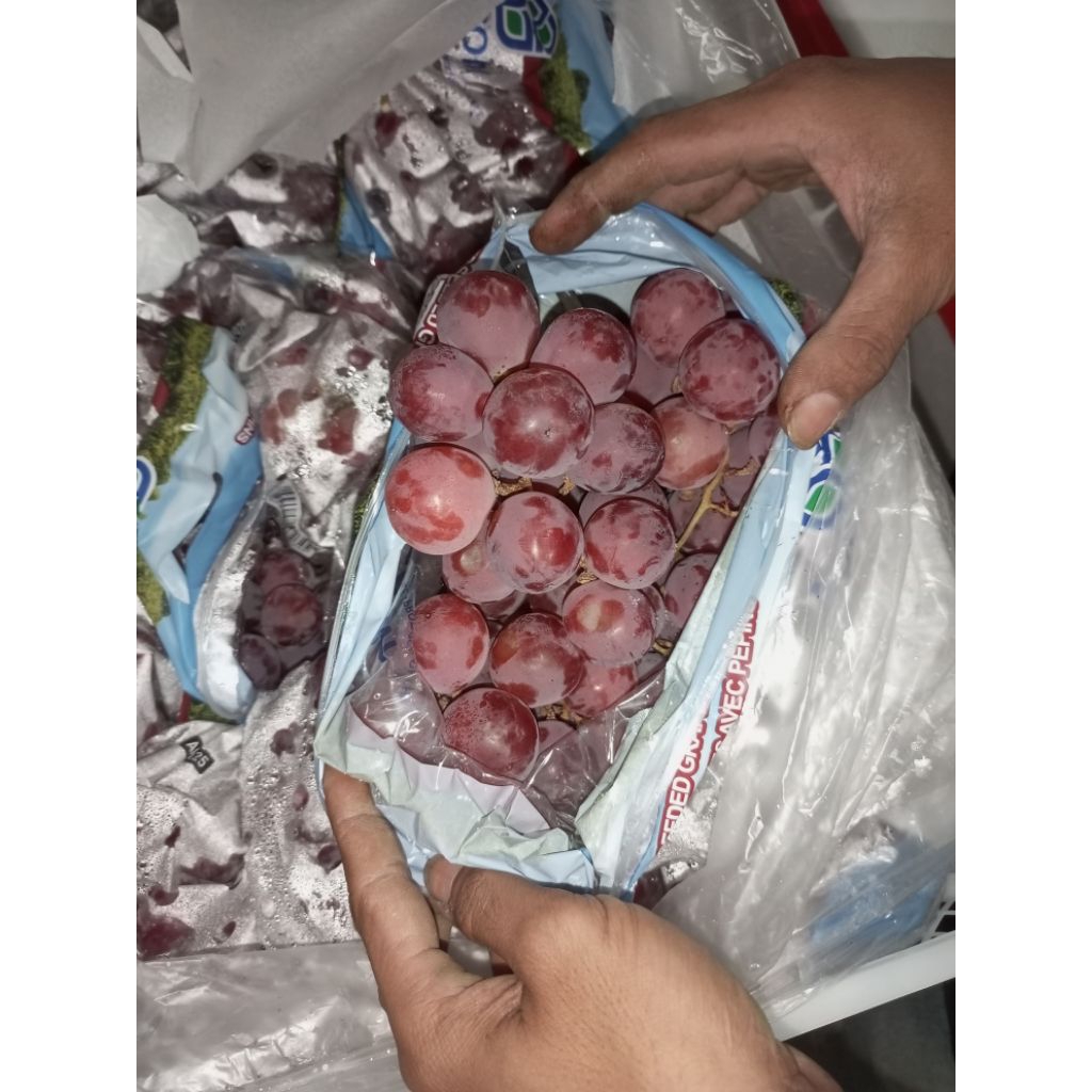 

buah anggur seperempat murah fresh