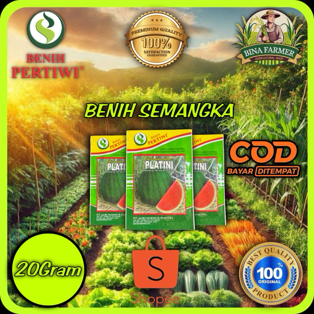 Benih Semangka Non Biji Hibrida F1 Platini 20gram