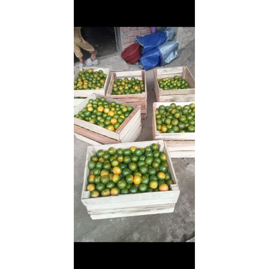 

jerukbwmanis#jerukbwlebong