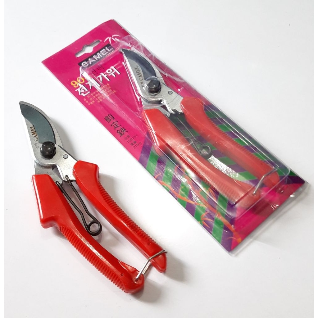 gunting ranting/dahan pohon camel