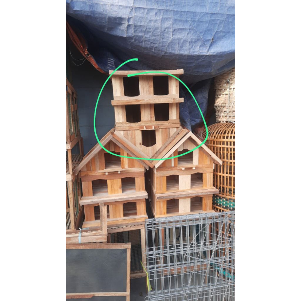 pagupon burung ready hanya instan pagupon pintu 5