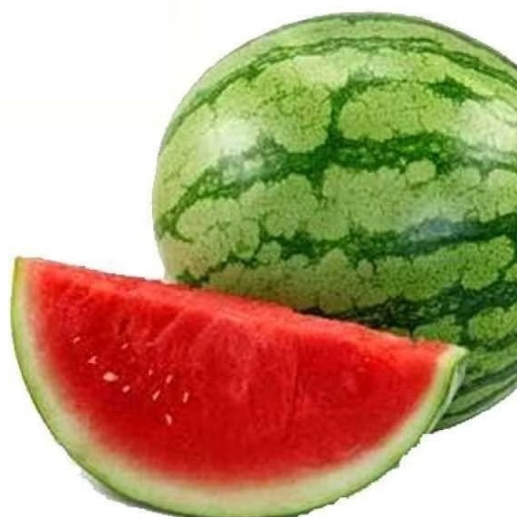 BENIH/BIJI SEMANGKA BULAT MERAH MADE (15 butir)