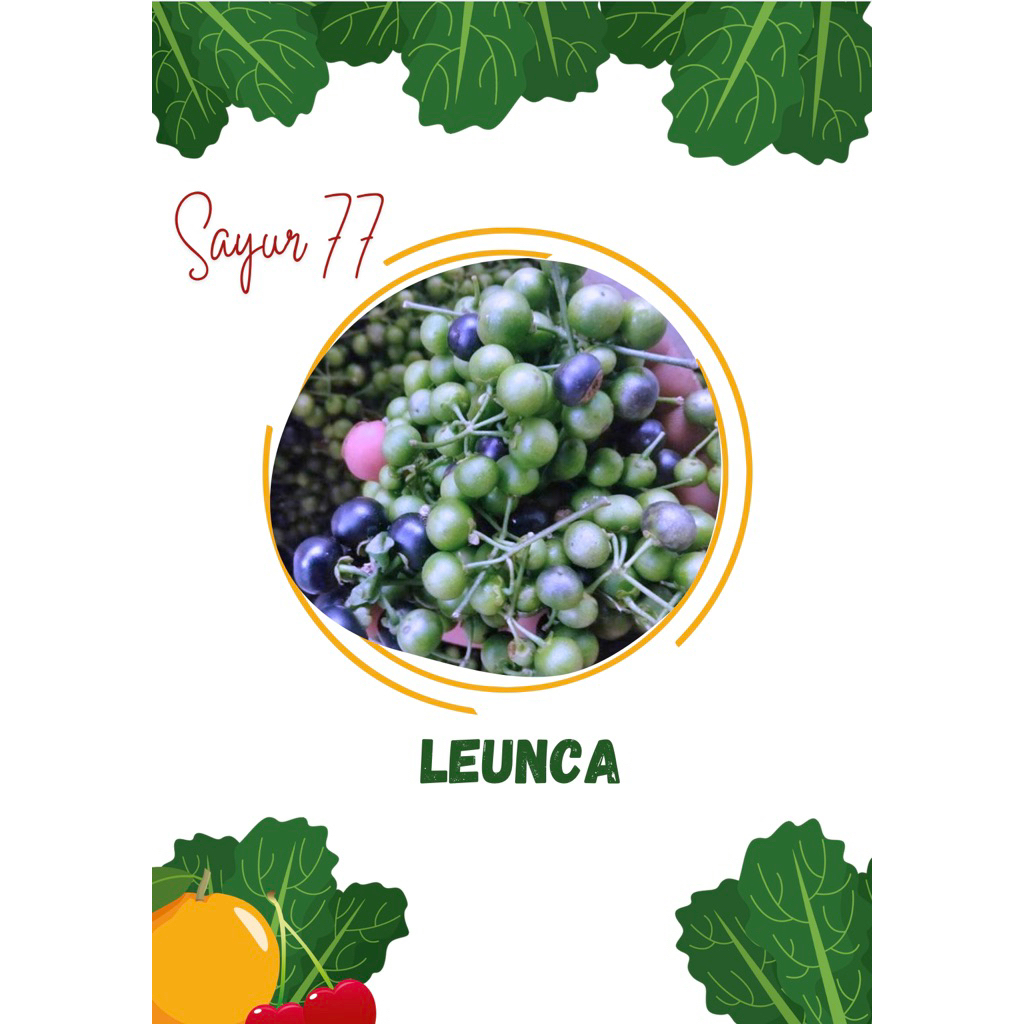

LEUNCA 250 gr