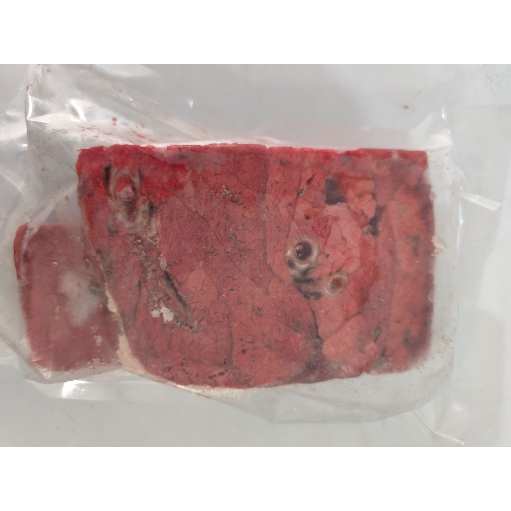 

Halal | Paru Sapi Frozen 500 gr bentuk kotak bukan slice