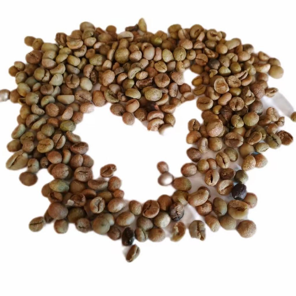 

Kopi Biji Arabica Mentah Hasil Dari Petani Lampung