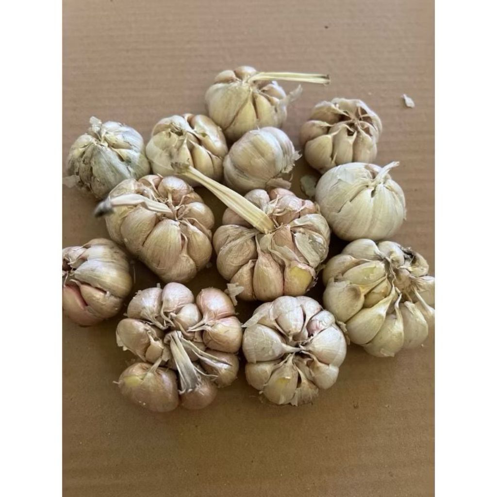 

PAKET BAWANG MERAH + BAWANG PUTIH