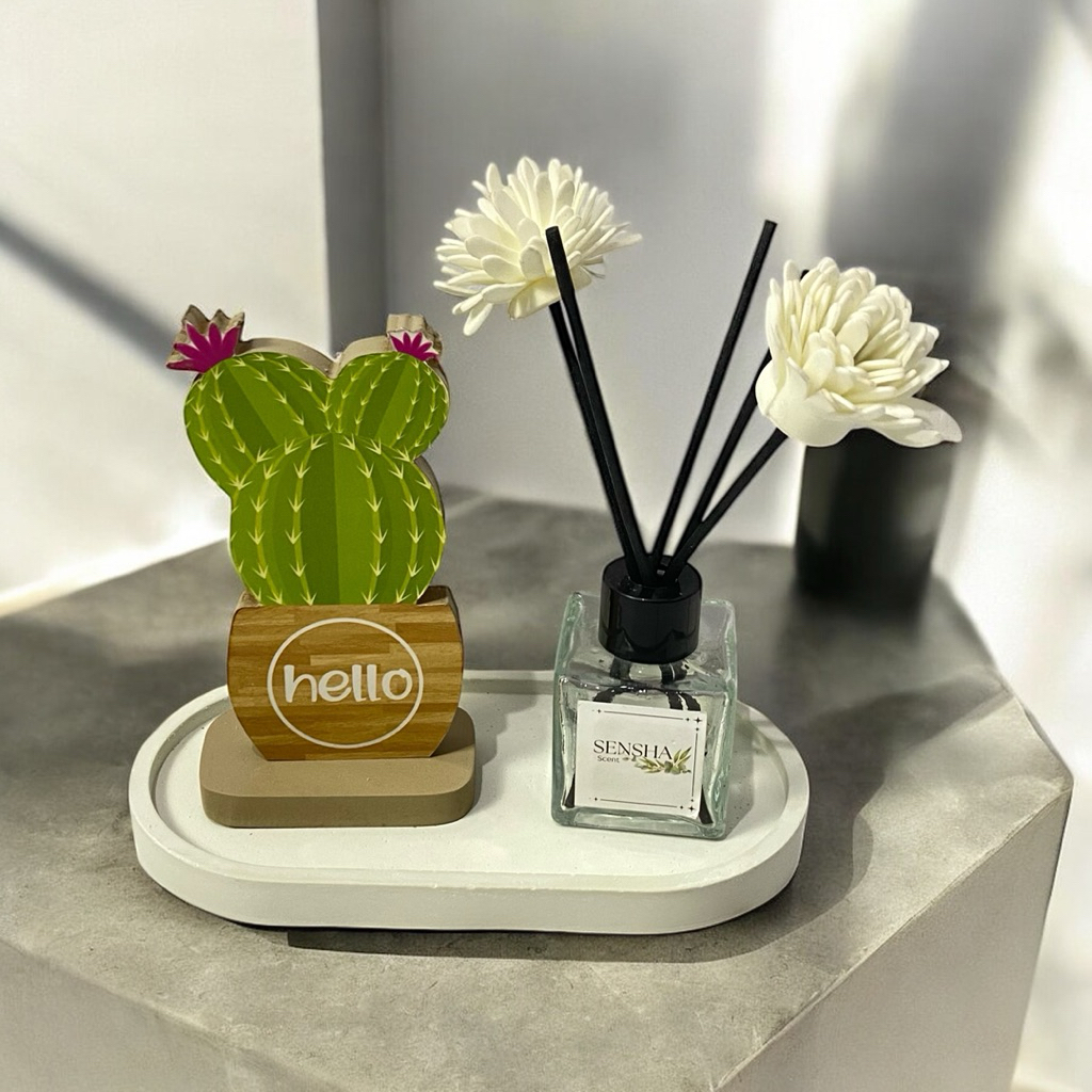 HIASAN KAKTUS DIFFUSER PAJANGAN KAKTUS DIFFUSER HIASAN MEJA KAKTUS KARAKTER HIASAN RAK DINDING