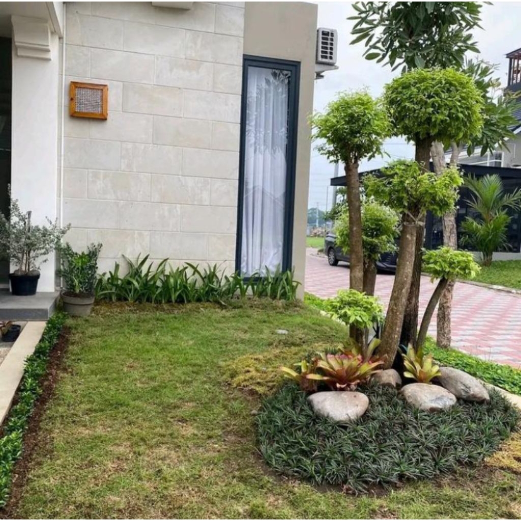 taman minimalis depan rumah