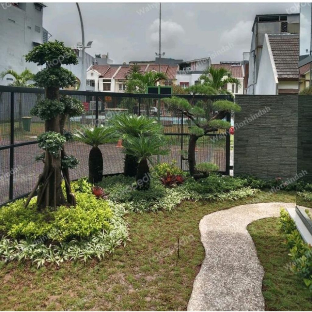 taman kering minimalis depan rumah