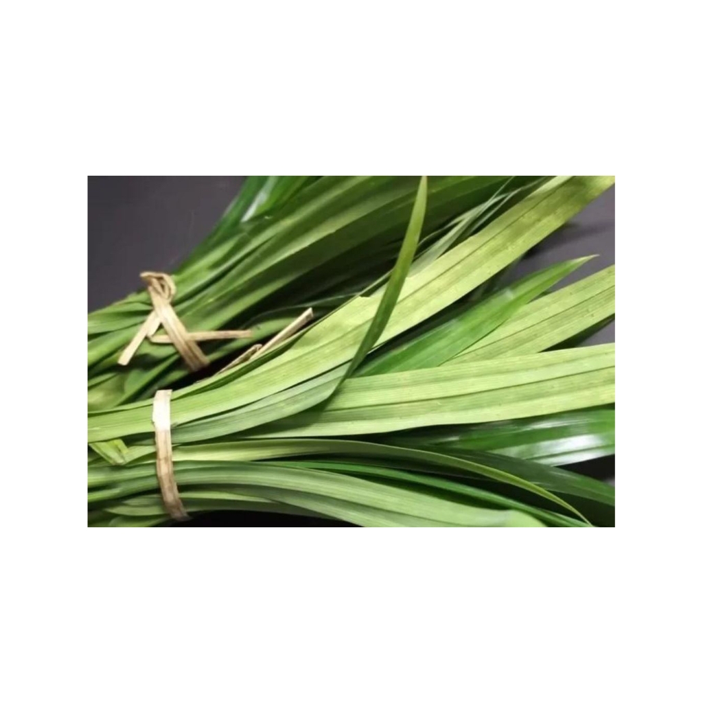 

Daun Pandan Wangi Bahan Pewangi Kue Makanan Isi 10 Lembar Daun Harga Promo