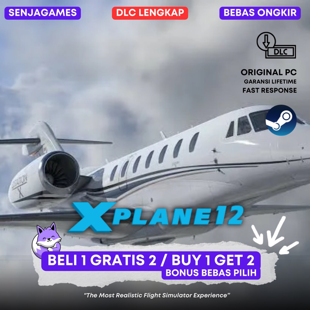 X Plane 12 / X-Plane 12 Original PC Steam + Bonus