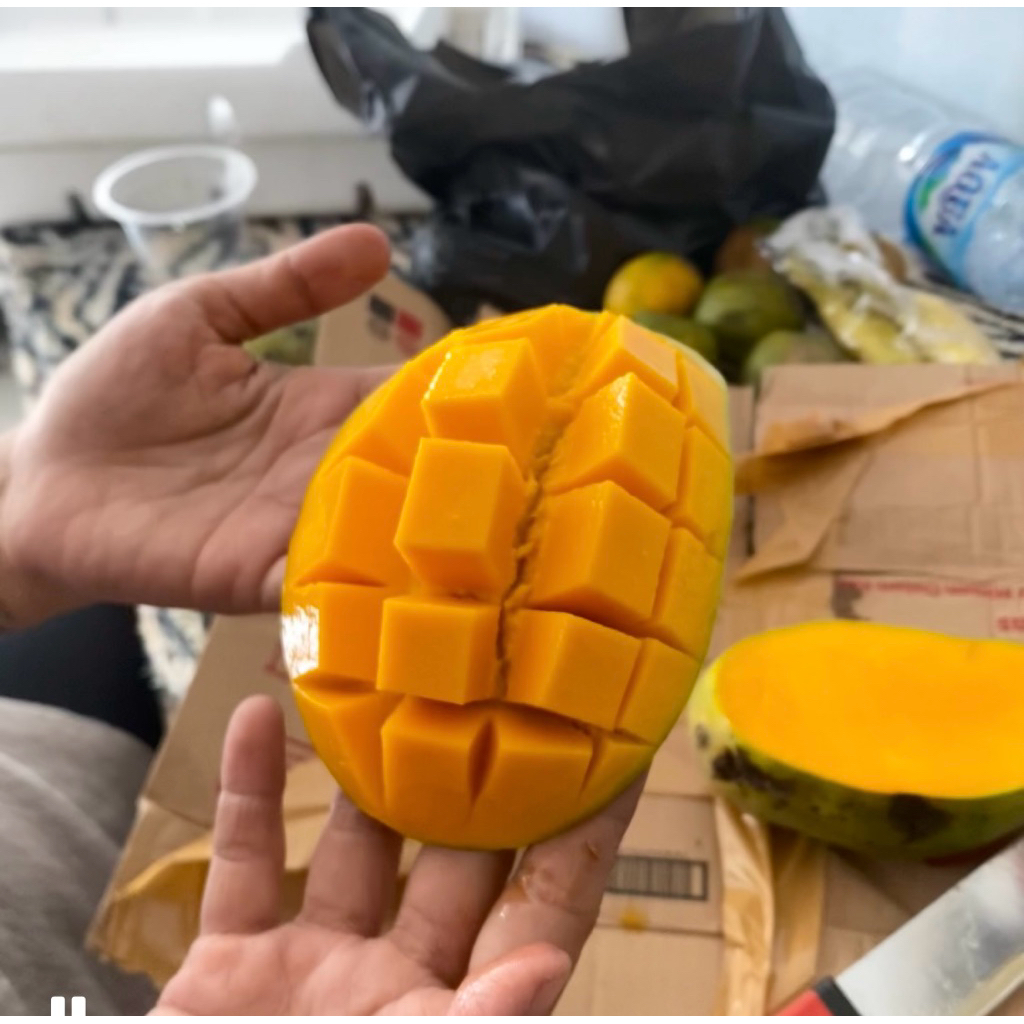 

mangga harumanis premium harga per 1kg