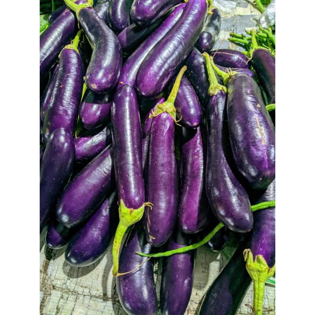 

TERONG UNGU - 500 GR