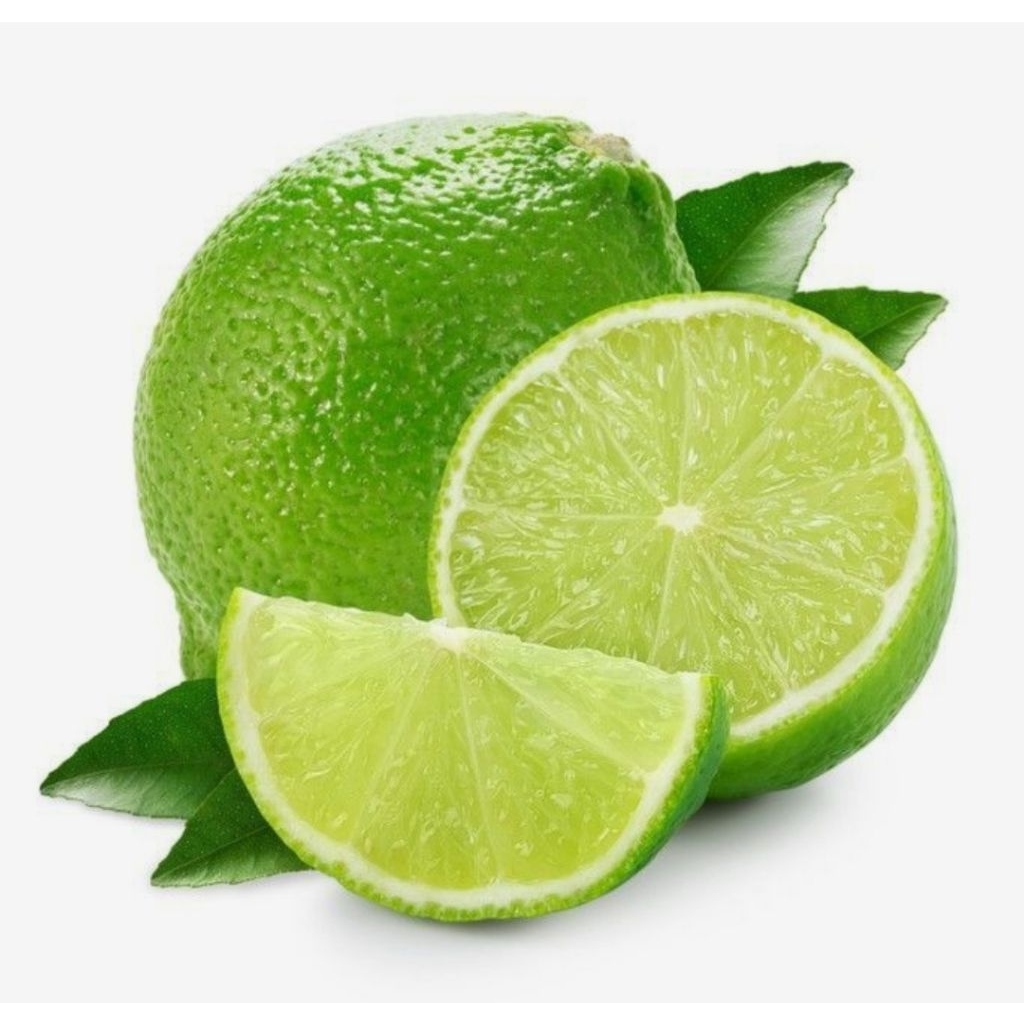 

jeruk nipis segar di petik saat mau kemas