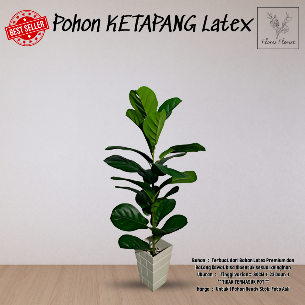 Tanaman KETAPANG Latex Pohon KETAPANG Buatan Premium Artificial Pohon KETAPANG / CZ-200-2