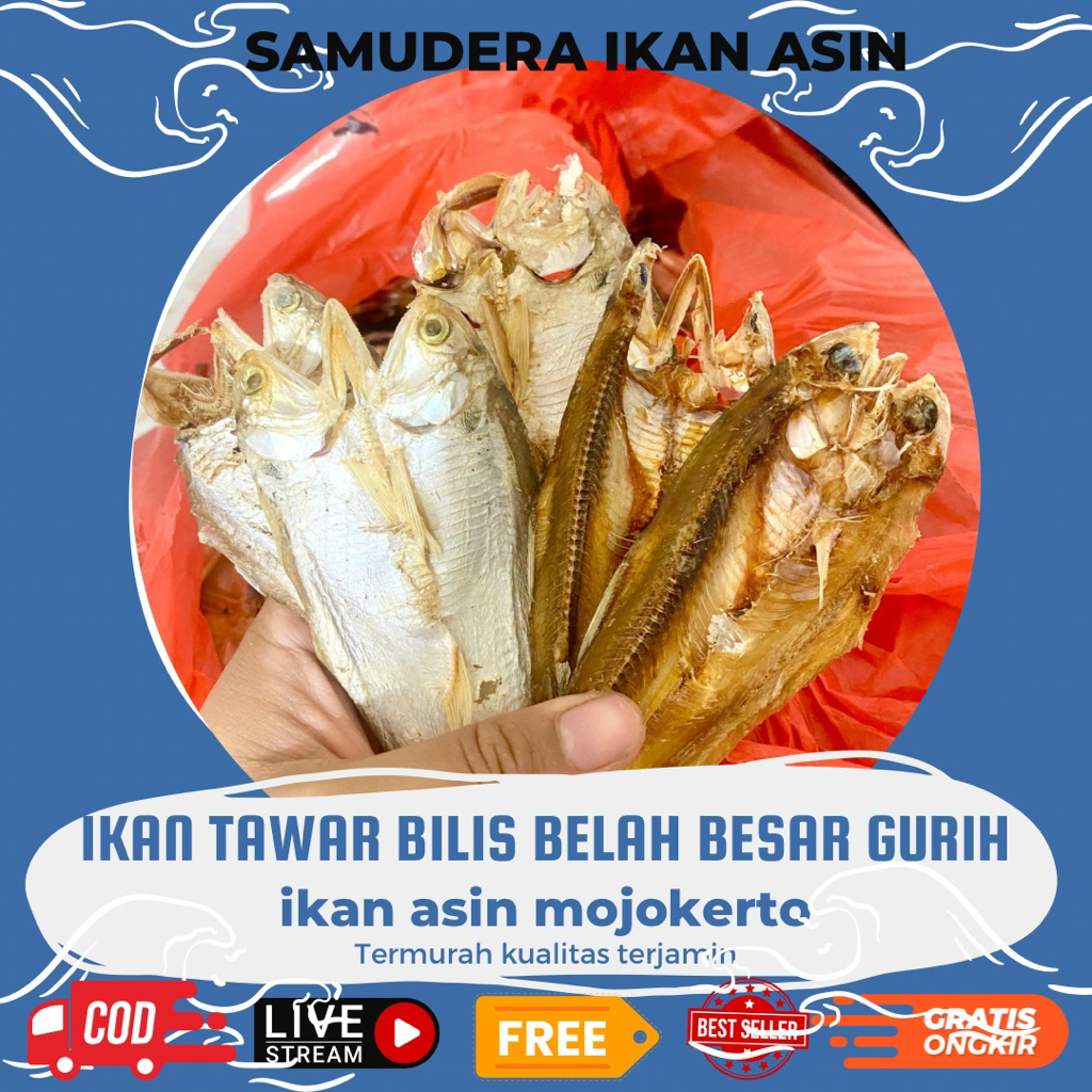 

REAL PICK BILIS TAWAR KRUPUK IKAN ASIN BELAH TAWAR KRUPUK IKAN KRIUK TIPIS