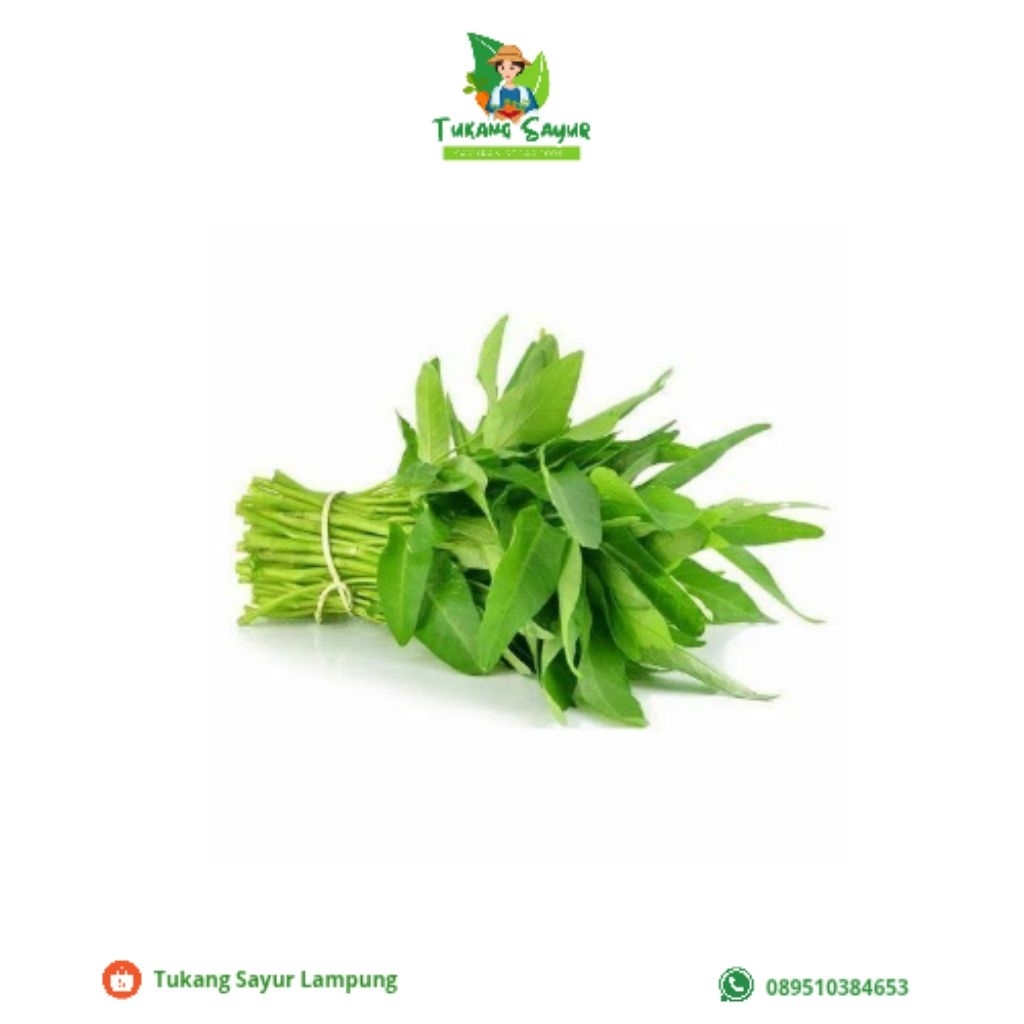 

Kangkung 1 Iket