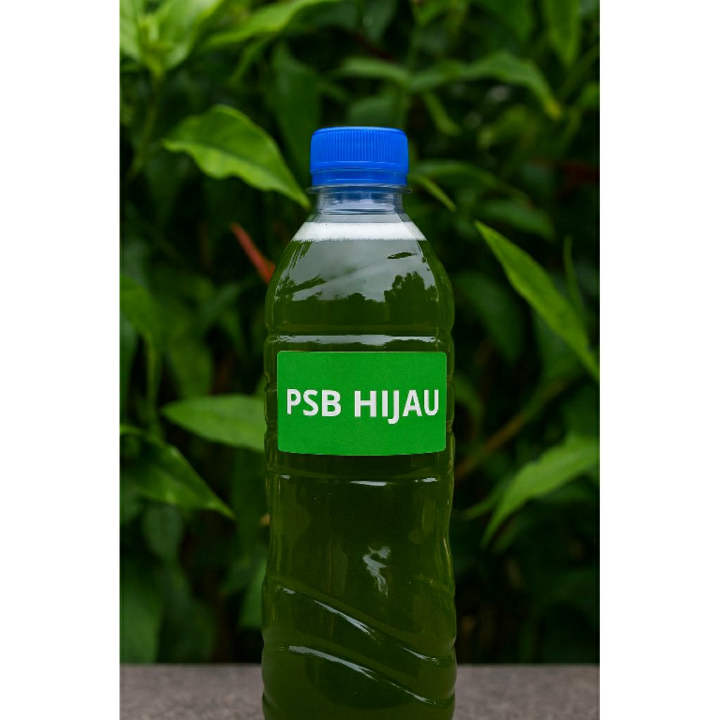 BIANG PSB HIJAU