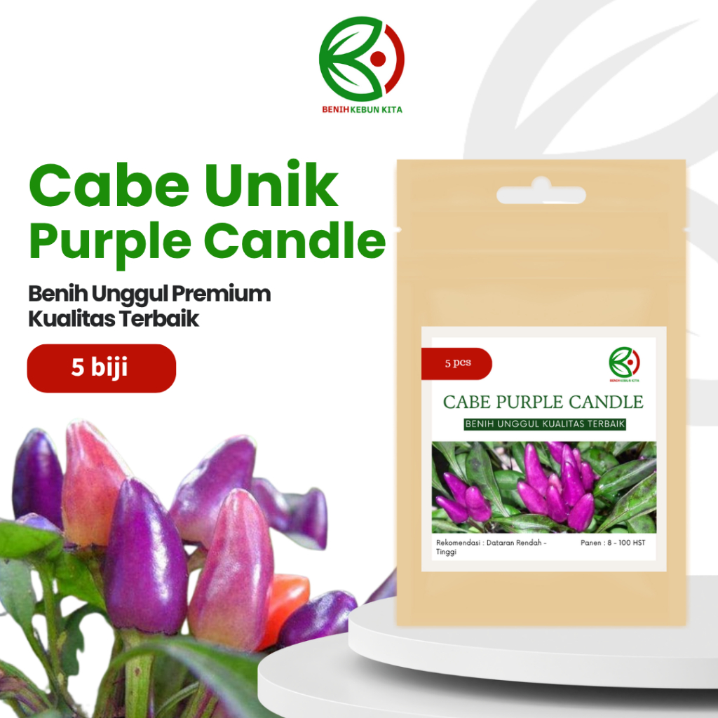 Biji Benih Bibit Tanaman Cabe Hias Konsumsi Ungu Purple Candle Unggul Berkualitas