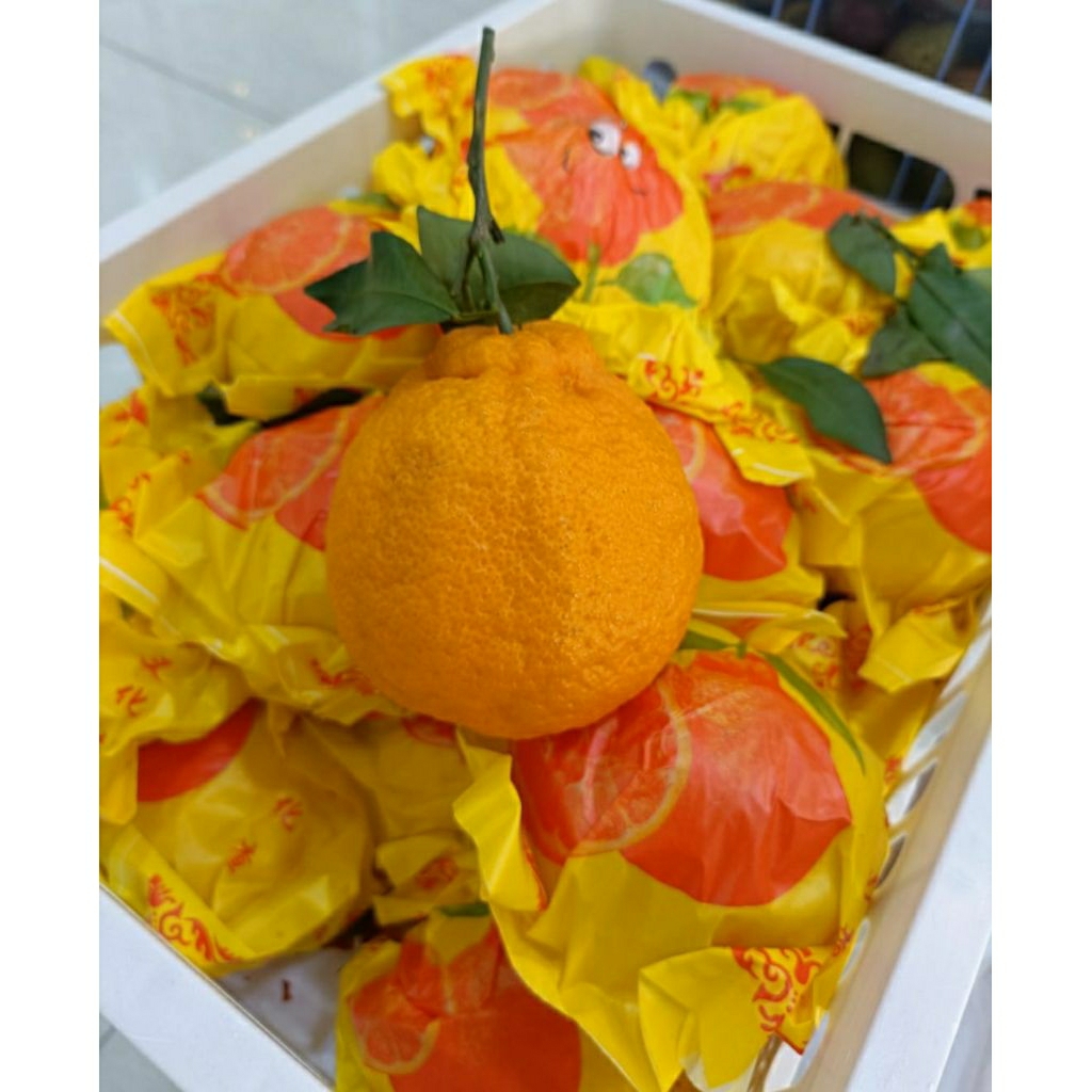 

jeruk dekopon/papagan keranjang 5kg