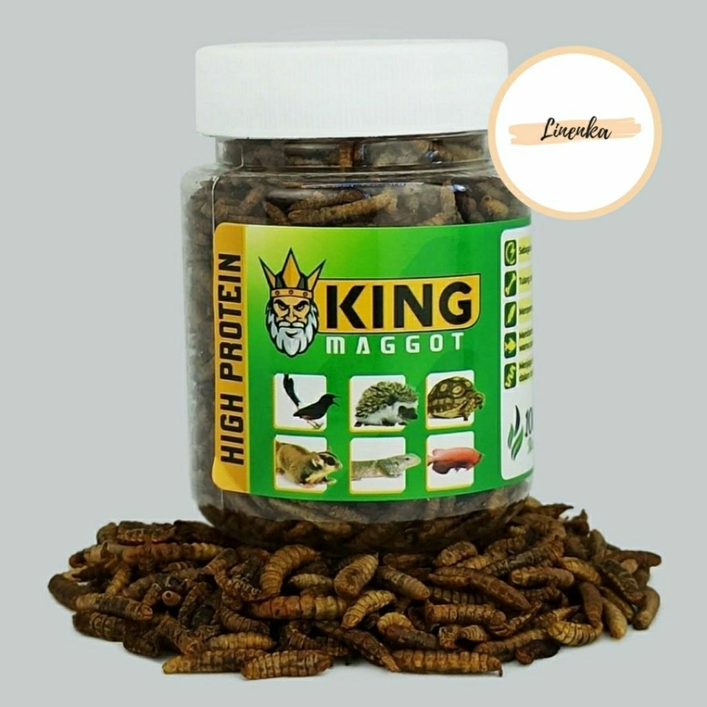 KING MAGGOT MAGOT KERING PAKAN BURUNG TINGGI PROTEIN MAGGOT PAKAN IKAN ARWANA